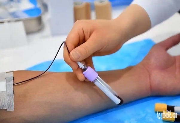 香港鉴别胎儿性别费用,验血测男女机构保障您的隐私与健康